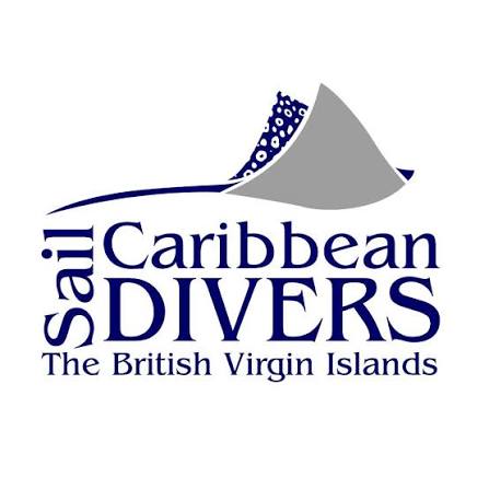 Government of the Virgin Islands